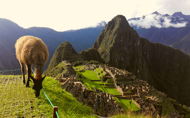 peru ayahuasca retreats