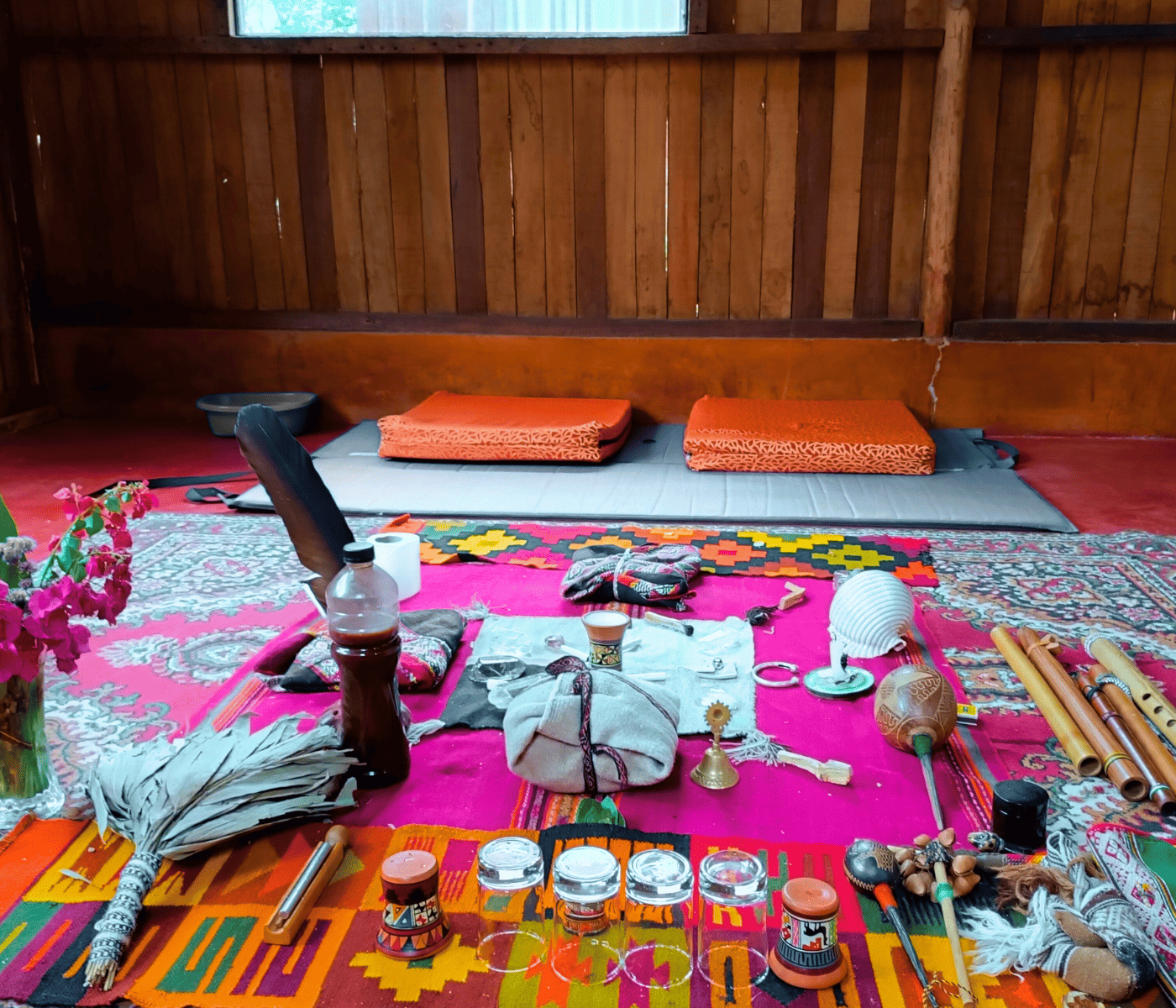 best ayahuasca retreats