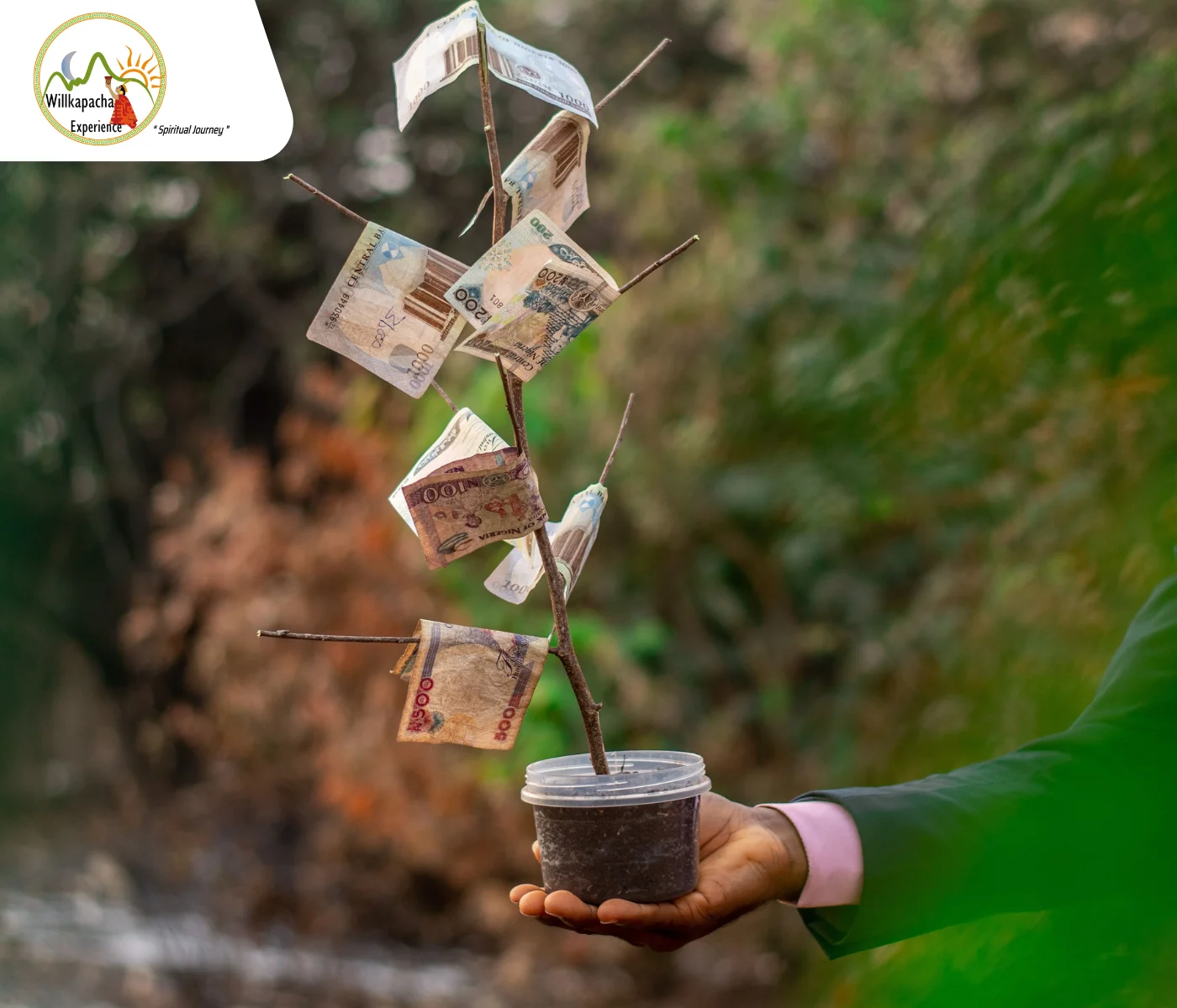 Ayahuasca Retreat Cost in 2025 Your Complete Cost Guide