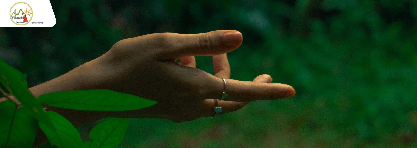 BENEFITS OF AYAHUASCA RETREATS