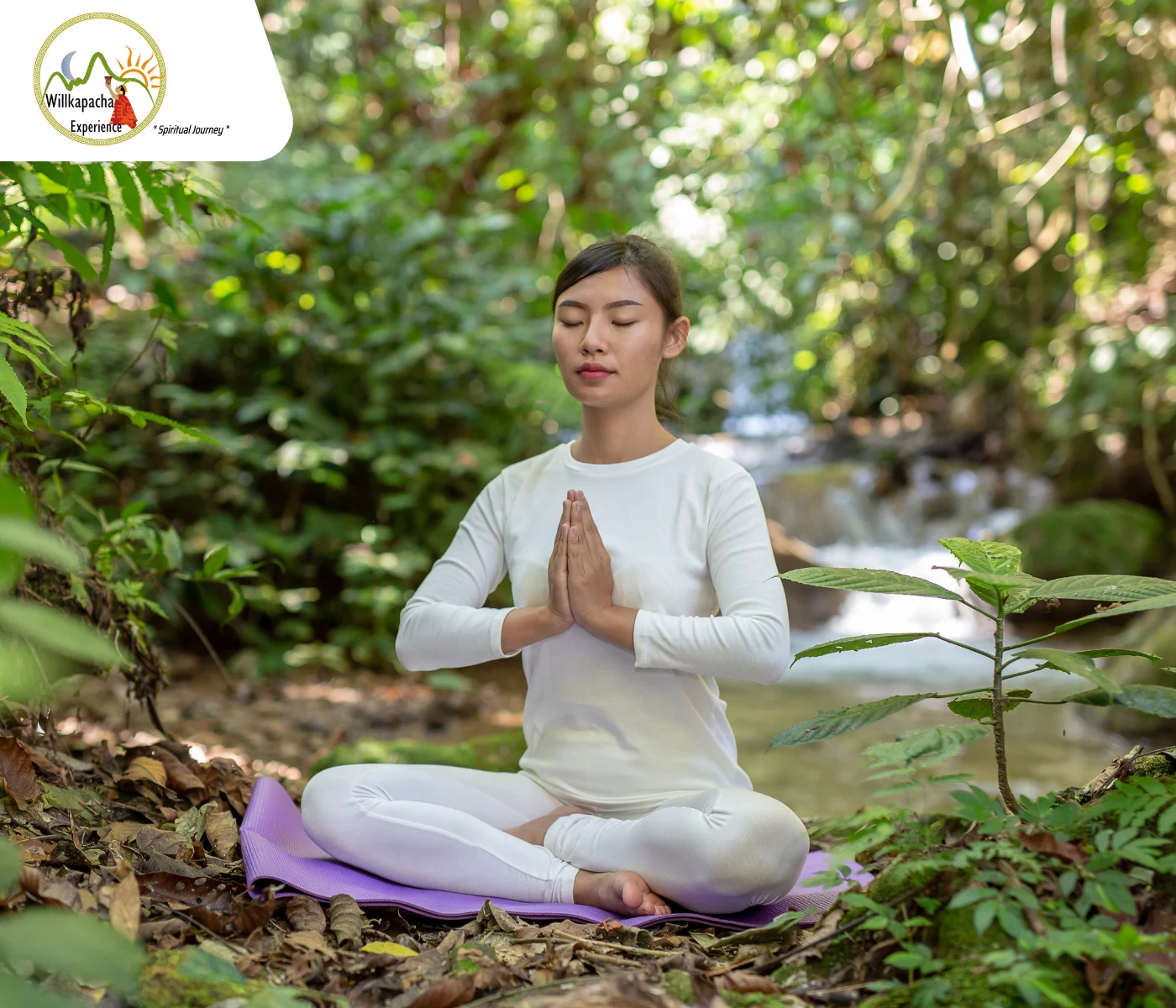 7 day ayahuasca retreat Peru