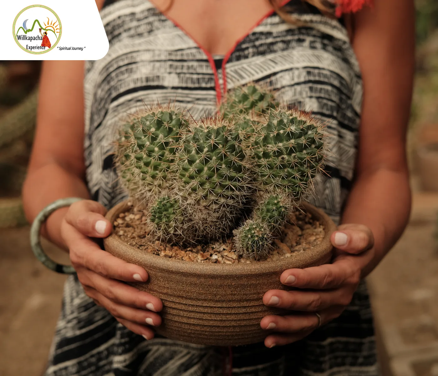 San Pedro Cactus Ceremony