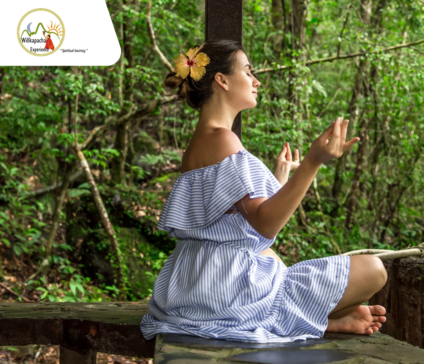 best ayahuasca retreats